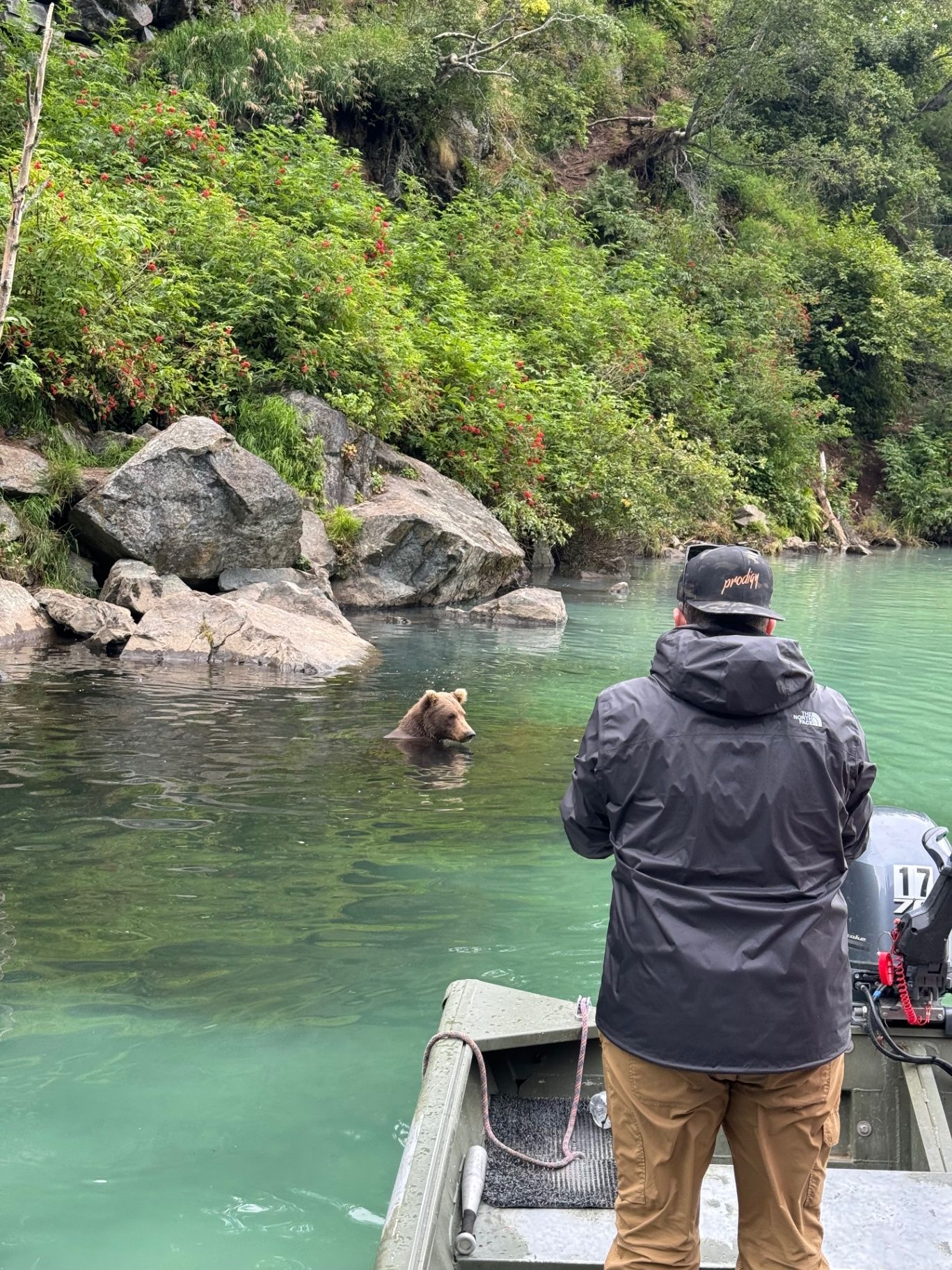 Guest watching a brown bear swimming in the river up close