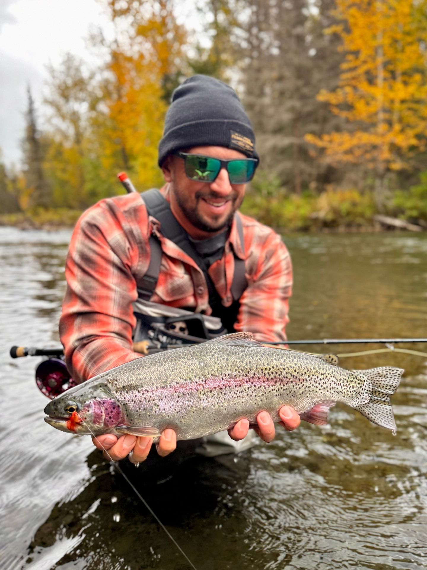 Angler holding a stunning rainbow trout with fall foliage behind